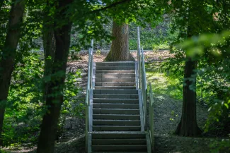 na zdjęciu park