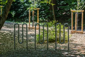 na zdjęciu park