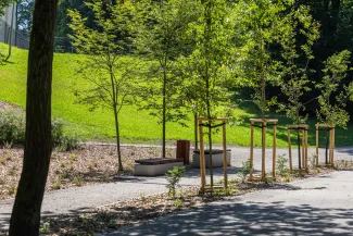 na zdjęciu park