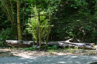 na zdjęciu park