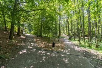 na zdjęciu park