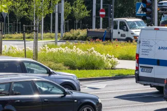 na zdjęciu ukwiecone ronda