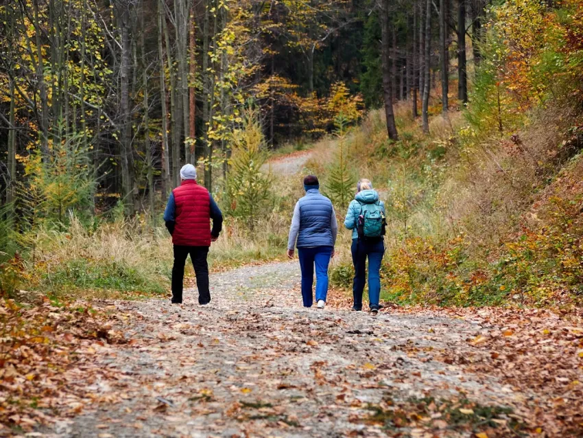 Na zdjęciu osoby wchodzące na Magurkę Wilkowicką 