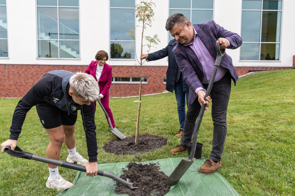 na zdjęciu osoby sadzące drzewo