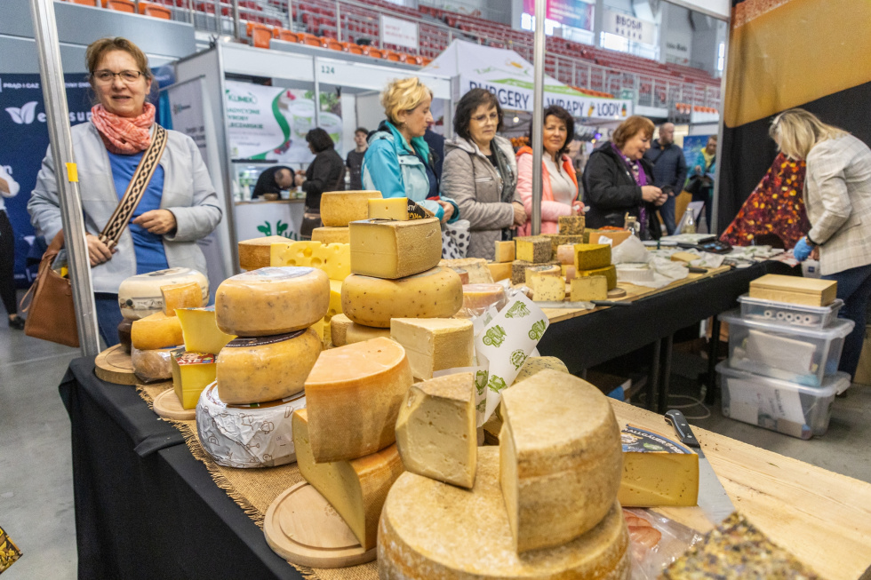 Na zdjęciu stojący ludzie 