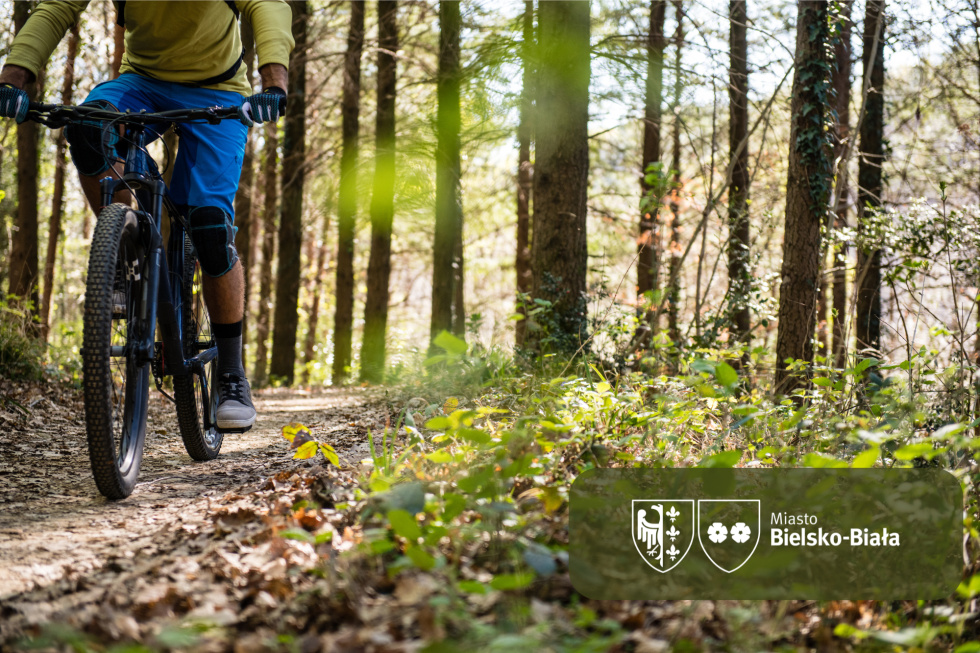 na zdjęciu zjeżdżający rowerzysta 