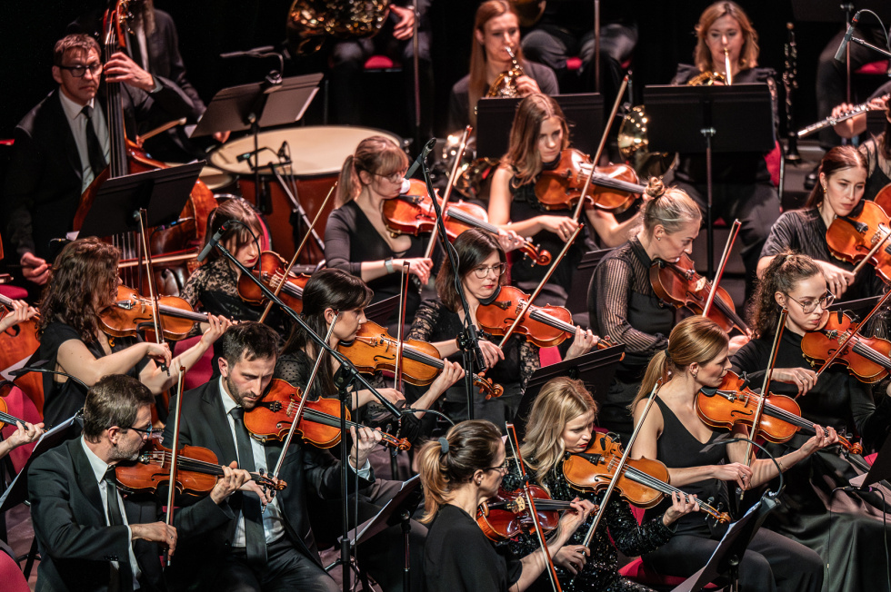 Na zdjęciu Bielska Orkiestra Kameralna