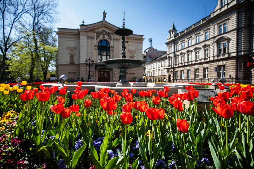 Na zdjęciu Teatr Polski i kwitnące tulipany na placu przed budynkiem 