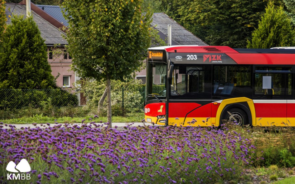 Na zdjęciu autobus 