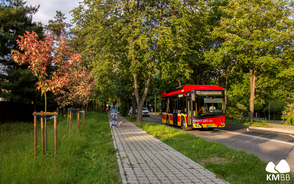 Na zdjęciu miejski autobus na ulicy w otoczeniu zieleni