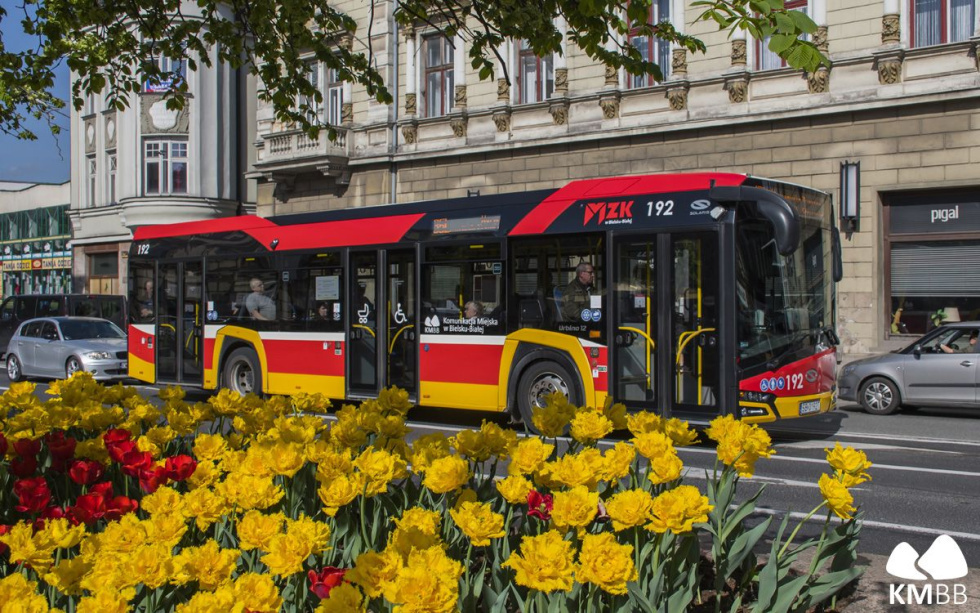 Na zdjęciu autobus MZK 