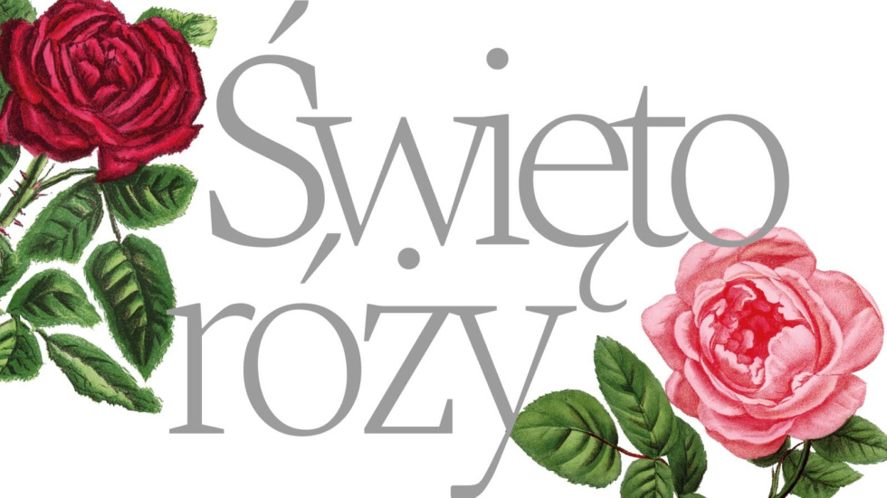 Na zdjęciu baner graficzny Święta Róży z wizerunkami dwóch róż i napisem
