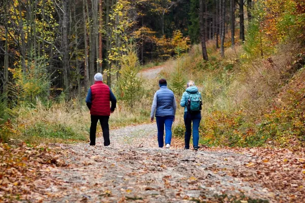 Na zdjęciu osoby wchodzące na Magurkę Wilkowicką 