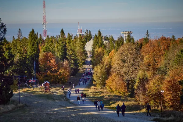 Widok w kierunku górnej stacji kolejki na Szyndzielnię