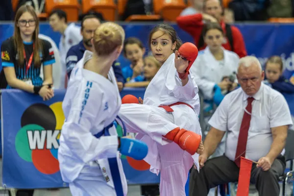 Na zdjęciu zawodnicy karate 