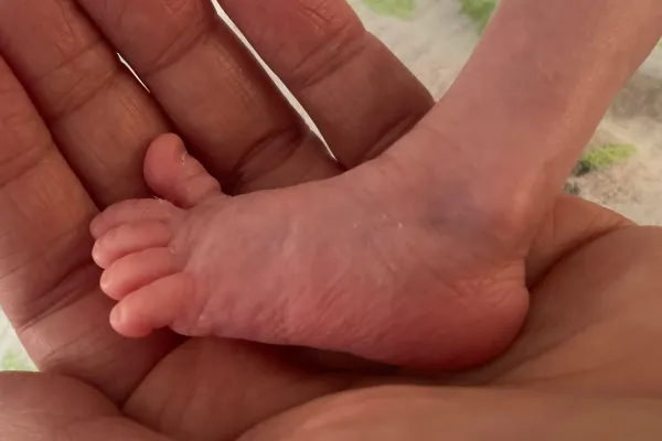 na zdjęciu stópka wcześniaka na dłoni dorosłej osoby