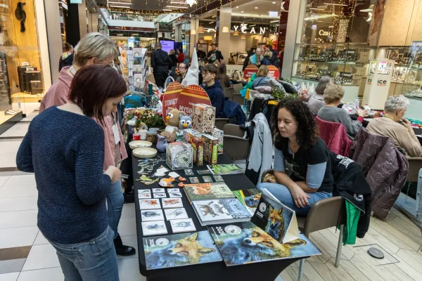 Na zdjęciu stoiska organizacji
