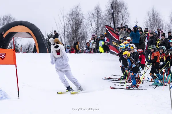 Na zdjęciu jadący na nartach Reksio 