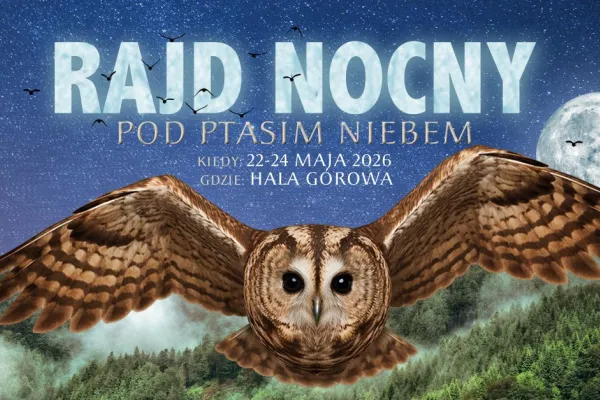 grafika