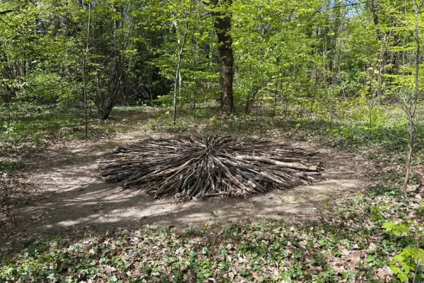 Na zdjęciu instalacja w ramach Festiwalu Ekodzieło 