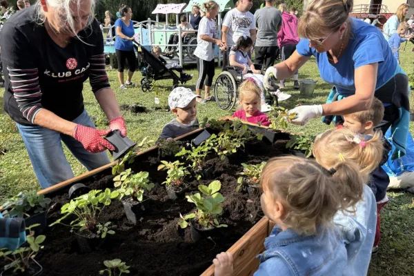 Na zdjęciu prace w ogrodzie dla przyrody w Centrum Edukacji i Rehabilitacji w Zabrzu w 2025 roku
