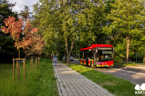 Na zdjęciu miejski autobus na ulicy w otoczeniu zieleni