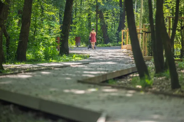 Na zdjęciu ocieniona alejka parkowa, w głębi kobieta z wózkiem